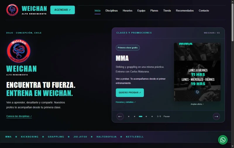 Captura de la página de inicio de Weichan Alto Rendimiento